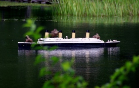 You know you’re in the Maritimes when even ducks have their own ship. Hah